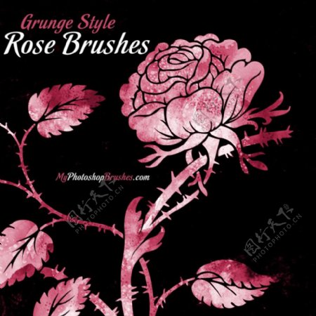 免费高品质玫瑰花图案PS素材笔刷下载