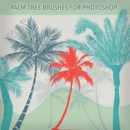椰子树剪影笔刷