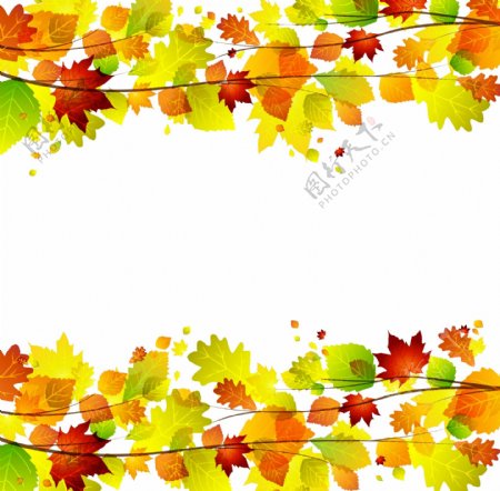 秋天树叶背景边框
