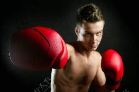 正在训练的外国男性拳击手图片