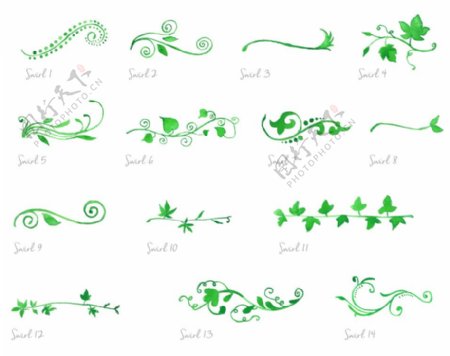 漂亮水彩水粉植物绿叶花纹图案Photoshop笔刷素材