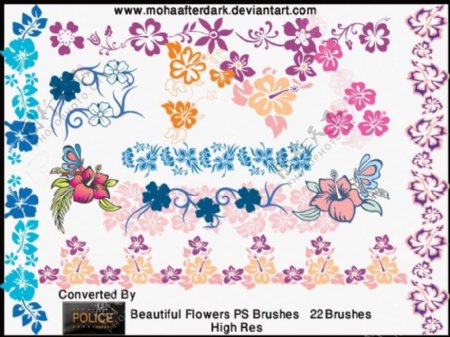 漂亮甜美的22个矢量花卉笔刷