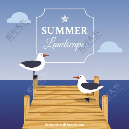 夏日背景与海鸥在码头上