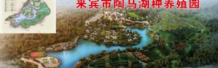 来宾市陶马湖种养殖园图片