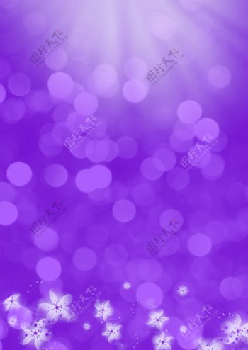 紫色梦幻圆点背景