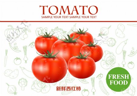新鲜西红柿素材