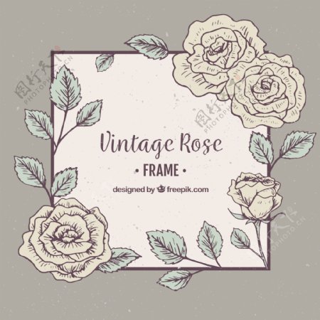 手绘玫瑰装饰图案背景素材