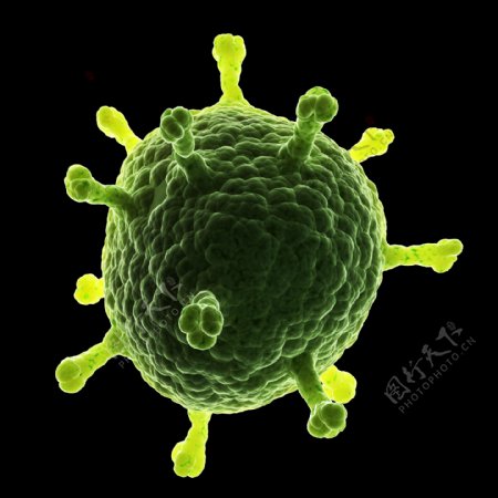 绿色球状生物细菌图片