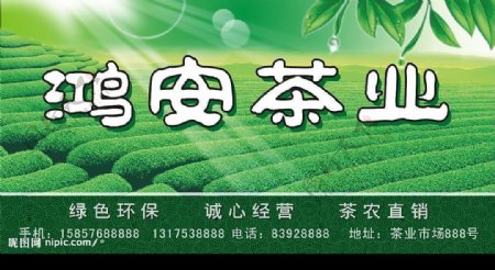 鸿安茶业店面广告