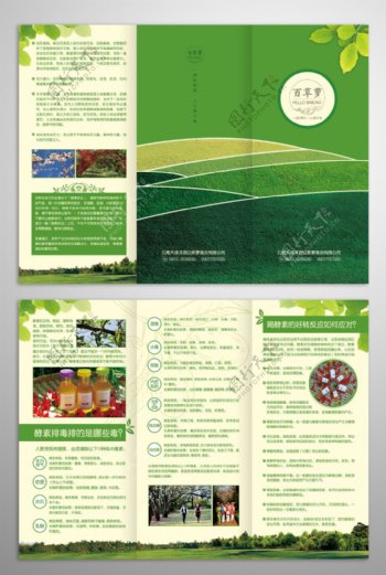 绿色酵素草本产品三折页