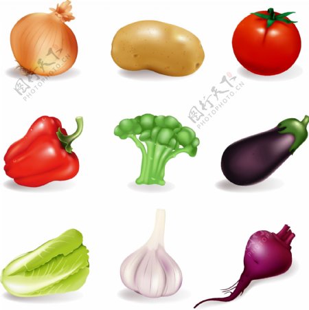 蔬菜矢量图片