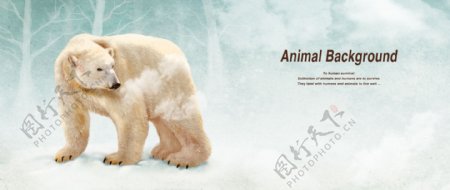 彩铅画效果动物分层背景北极熊