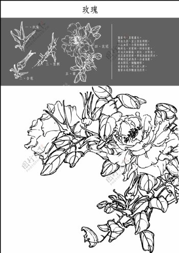 图中国传统工笔画笔法细腻注重细节5