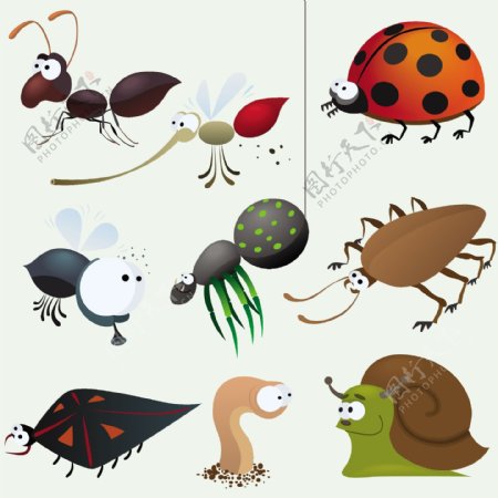 各种卡通昆虫图案