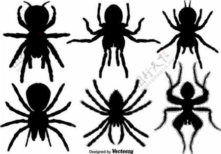 蜘蛛矢量图标集