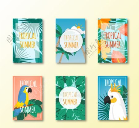 夏季热带风格卡片
