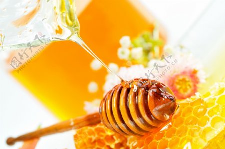 高清蜂蜜背景素材