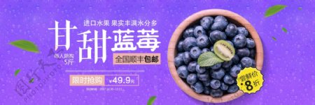 紫色食品水果蓝莓新鲜美味淘宝banner