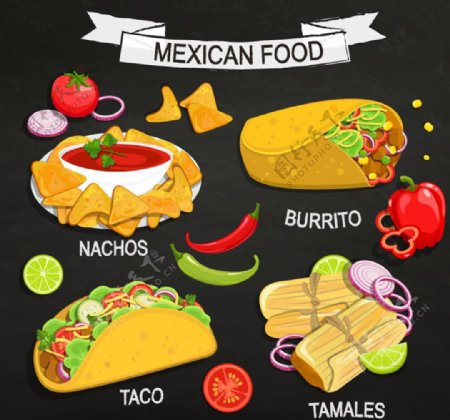 4款美味墨西哥食物矢量素材