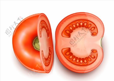 切开的番茄矢量素材