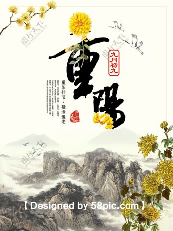 清新淡雅重阳节菊花节日海报
