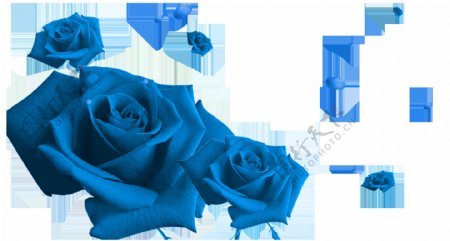 蓝色玫瑰漂浮花瓣png元素素材