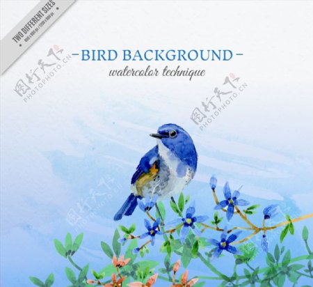 水彩绘蓝色鸟和花卉矢量图