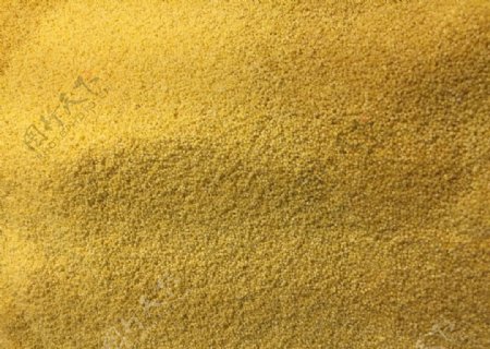 黄粒米