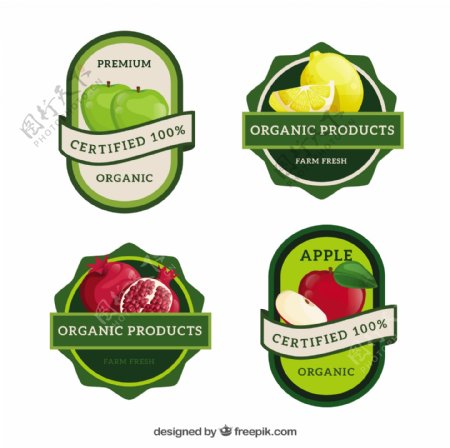 不同水果的绿色标签的集合