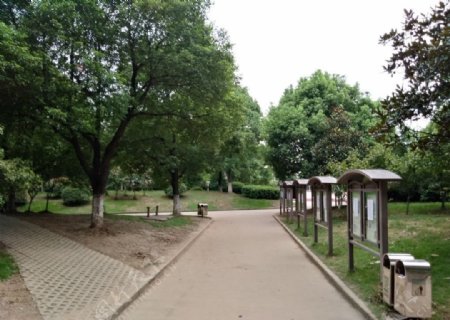 绿色校园