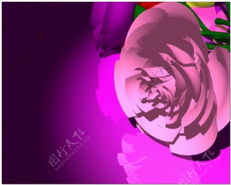 紫色花朵婚礼片头视频背景素材