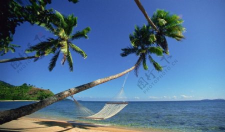 斐济海边吊床