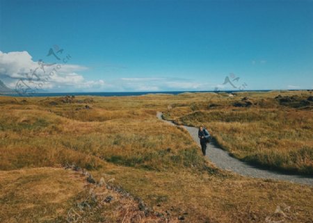 冰岛草原