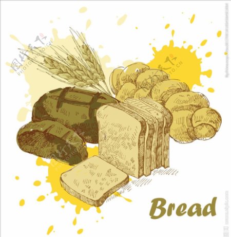 矢量小麦面包素材