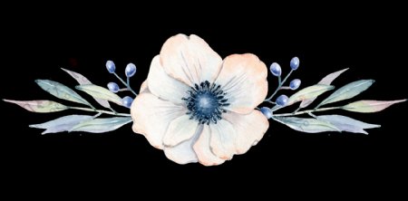 手绘叠裂银莲花透明装饰图案