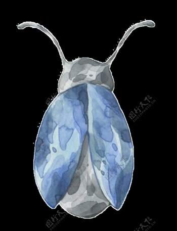 手绘蓝色昆虫透明装饰图案