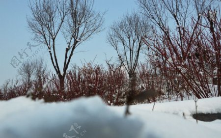 漢城湖雪景