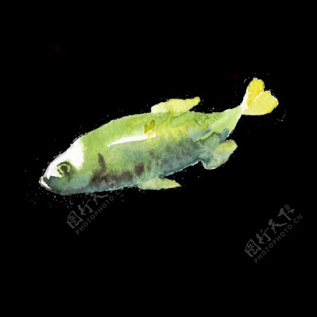 绿色鱼水彩手绘透明素材