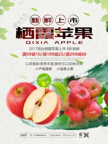 清新简约烟台栖霞苹果新鲜上市促销海报设计