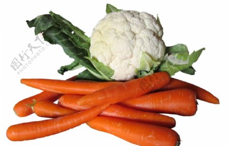 花椰菜和胡萝卜