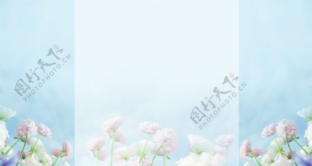 温馨花朵白色透明淘宝banner背景