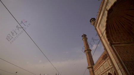 飞越印度清真寺上空的鸟