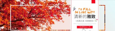 秋季枫叶背景女装针织衫全屏海报