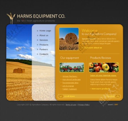 国外沙漠风格企业网站设计素材