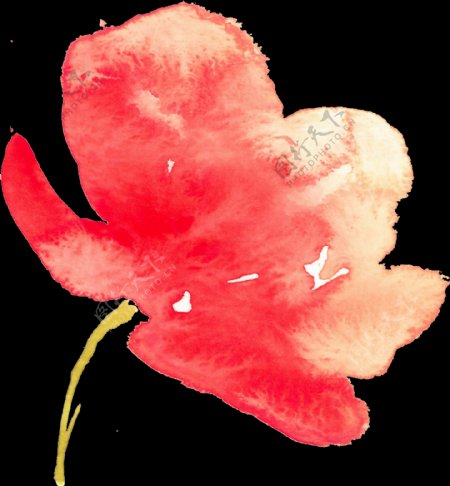 涂鸦花卉透明素材