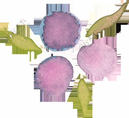 紫色花球卡通透明装饰素材
