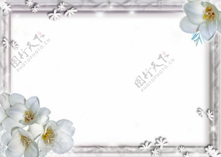 白色百合花卉边框免抠psd透明素材