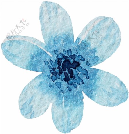 蓝色美丽花卉透明素材