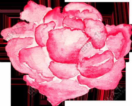 粉色优雅花卉透明素材