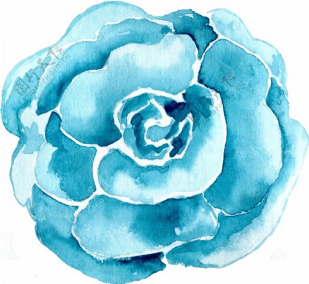 蓝色唯美花卉透明素材